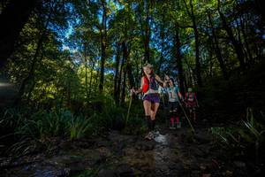 BIB: 
                            <button type="button" onclick="openModal(19240538)" class="btn btn-primary btn-sm float-right btn-popup" data-toggle="modal" data-target=".modal-high-quality">
                        <i class="fas fa-shopping-cart"></i> Add to Cart
                    </button>
                                            <button type="button" onclick="isThisMe(19240538, true)" class="btn btn-success btn-sm float-right btn-popup btn-isme hidden" data-toggle="tooltip" data-placement="bottom" title="นี่คือรูปของคุณใช่ไหม คลิกที่นี่เพื่อเอาเข้าอัลบั้ม">
                        <i class="fas fa-plus"></i> Add to album
                    </button>
                    <button type="button" onclick="isThisMe(19240538, false)" class="btn btn-warning btn-sm float-right btn-popup btn-isnotme hidden">
                        <i class="fas fa-ban"></i> Remove from album
                    </button>